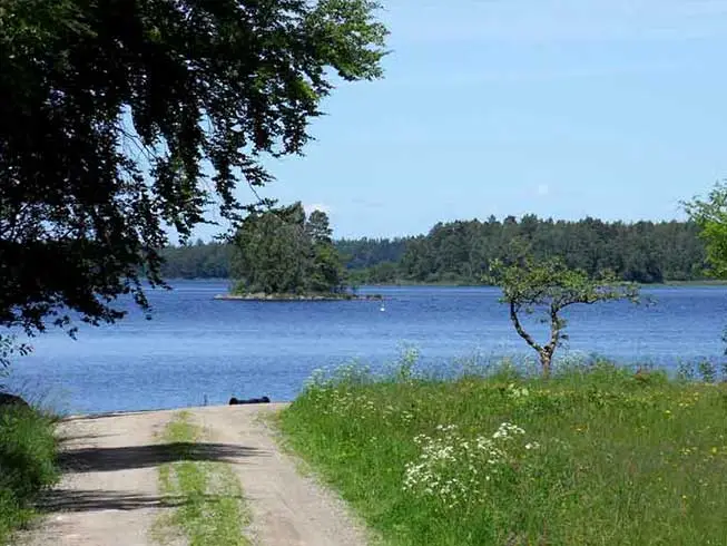 Vägen ner till sjön vid stugan i Småland, en lugn stig genom skog som leder till bad, brygga och båtar nära Åsnens Nationalpark.